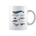 Tipi Di Balene Carino Ocean Mammiferi GuidaTazze