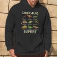 De Dinosaurio Para Niños Dinosaur Expert Sudadera Estilo de vida