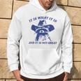 Raccoon Retro It Is What It Is And It Is Not Great Hoodie Lifestyle