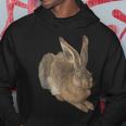 Young Hare Field Rabbit By Albrecht Durer Kapuzenpullover Lustige Geschenke