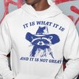 Raccoon Retro It Is What It Is And It Is Not Great Hoodie Funny Gifts
