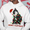 Merry Fluffmas Cat Con Cappello Di Babbo Natale Brutto Natale Xams Maglia Con Maniche Raglan Felpa con cappuccio Regalos divertidos