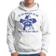 Raccoon Retro It Is What It Is And It Is Not Great Hoodie