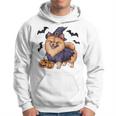 Scary Pumpkin Bat Witch Pomeranian Dog Halloween Hoodie