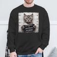 Foto Segnaletica Divertente Di Gatto Felpa Regalos para ancianos