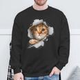 Maglia Divertente Gatto 3D Perfetto Regalo Per Uomo E Donna Felpa Regalos para ancianos