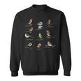 Bird Motif Garden Birds Songbirds Birds Tits Bunnels Sparrow Sweatshirt