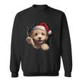 Poodle Dog Owner Dog Christmas Hat Sweatshirt