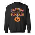 Growing A Little Pumpkin Halloween Pregnancy Announcement Sweatshirt