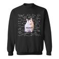 Meme Gatto Meme Divertente Huh Matematica Gatto Per Matimathique Felpa