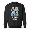 Non Sono In Pensione Sono Un Nonno A Tempo Pieno Felpa