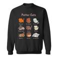 Potter Cats For Cat Lovers Sweatshirt