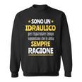 Regalo Divertente Idraulico Uomo Ho Sempre Ragione Felpa