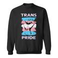 Transgender Pride Flag Trans Pride Sweatshirt