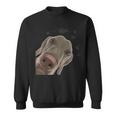 Weimaraner Divertente Cane Curioso Felpa