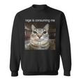 Wuterzehrt Mich Dummes Starrendes Katzen-Meme Sweatshirt