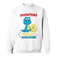 Bambino Diventerò Fratello Maggiore 2025 Annunciare Gravidanza Dino Felpa