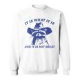 Raccoon Retro It Is What It Is And It Is Not Great Sweatshirt