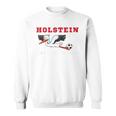 Holstein Stolle Football Kicken Fan Kiel Stadium Blue Blue Sweatshirt