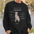 Anatomie Eines Weimaraners Weimaraner Sweatshirt Geschenke für Ihn