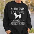 Cani Divertente Padrona Di Cane Il Mio Cane Non Èiziato Felpa Regalos para él