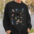 Garden Birds Bird Drawing Bird Blue Tit Robin Sweatshirt Geschenke für Ihn