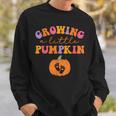 Growing A Little Pumpkin Halloween Pregnancy Announcement Sweatshirt Gifts for Him