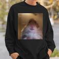 Hamster Starrt In Die Front Camera I Internet Hamster Meme Sweatshirt Geschenke für Ihn