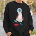 Isole Galapagos Ballo Booby Dai Piedi Azzurri Galapagos Felpa Regalos para él