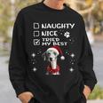 Niedlicher Whippet-Hund Weihnachten Naughty Nice Tried My Best Sweatshirt Geschenke für Ihn