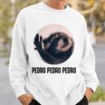 Pedro Pedro Raccoon X Meme Racoon Selfie Dance Sweatshirt Geschenke für Ihn