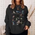 Garden Birds Bird Drawing Bird Blue Tit Robin Sweatshirt Geschenke für Sie