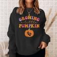 Growing A Little Pumpkin Halloween Pregnancy Announcement Sweatshirt Gifts for Her