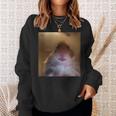 Hamster Starrt In Die Front Camera I Internet Hamster Meme Sweatshirt Geschenke für Sie