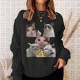 Raccolta Di Meme Per Gatti Popolare Internet Meme Cat Day Natale Felpa Regalos para ella