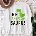 Bambino Big Brother Saurus Dinosaur Fratello Abbinamento Abiti Felpa Regalos para ancianas