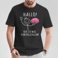 Hallo Dir Ist Was Runtergefallen – And Unique T-Shirt Lustige Geschenke