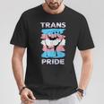 Transgender Pride Flag Trans Pride T-Shirt Lustige Geschenke