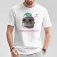 Schlafi Schlafi Sad Hamster Meme Gray T-Shirt Lustige Geschenke