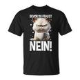 Bevor Du Fragst Nein Katzekaffee Kater Announced T-Shirt