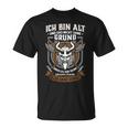 Nicht Grundlos Alt Nicht Grundlos Alt -Ikings & Walhal T-Shirt