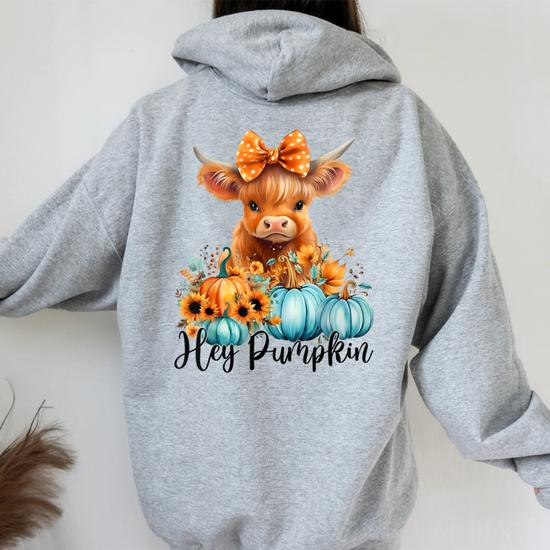 Hey pumpkin hoodie sale