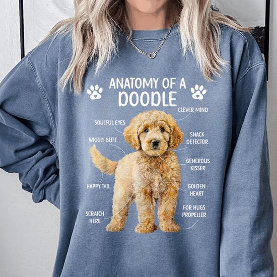 Anatomy Of A Doodle Dog Doodle Owner Goldendoodle Mom Comfort Colors Sweatshirt Monsterry